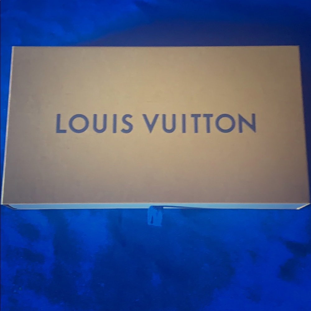 Brand new Louis Vuitton CC insert and change bag